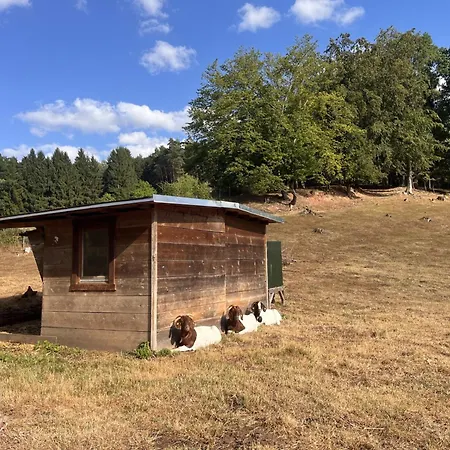 Apartamento Hessenstube Am Waldrand